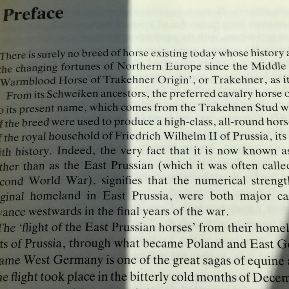 Book, the Trakehner - Picture 4 of 5